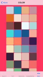 Salon Scheduler screenshot of colors